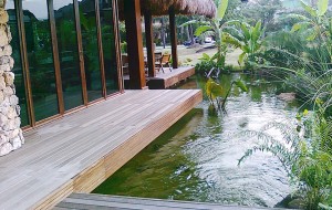 sentosacove_outdoor2
